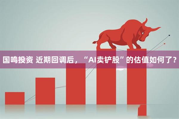 国鸣投资 近期回调后，“AI卖铲股”的估值如何了？