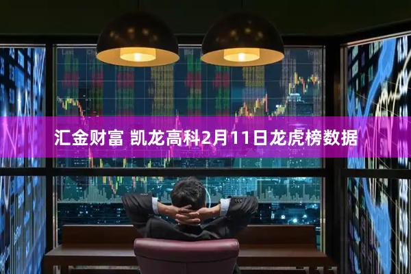 汇金财富 凯龙高科2月11日龙虎榜数据