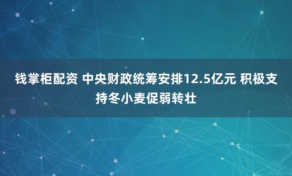 钱掌柜配资 中央财政统筹安排12.5亿元 积极支持冬小麦促弱转壮