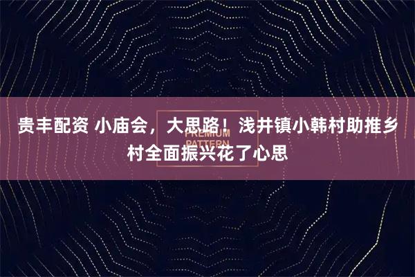 贵丰配资 小庙会，大思路！浅井镇小韩村助推乡村全面振兴花了心思
