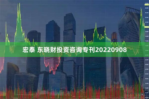 宏泰 东晓财投资咨询专刊20220908