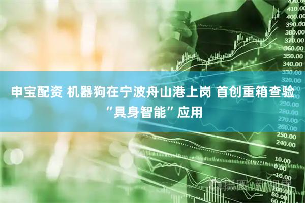 申宝配资 机器狗在宁波舟山港上岗 首创重箱查验“具身智能”应用