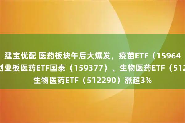 建宝优配 医药板块午后大爆发，疫苗ETF（159643）涨超5%，创业板医药ETF国泰（159377）、生物医药ETF（512290）涨超3%